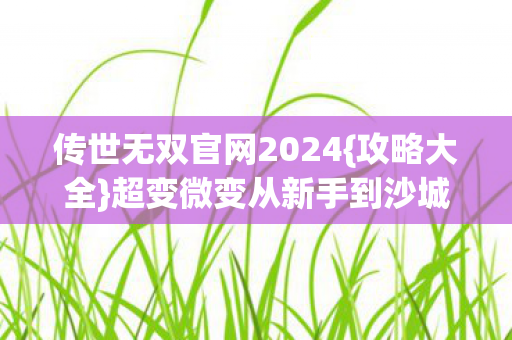 传世无双官网2024{攻略大全}超变微变从新手到沙城霸主 传世无双官网2024{攻略大全}超变微变从新手到沙城霸主