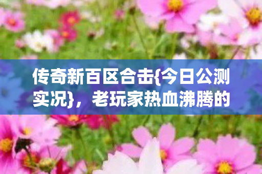 传奇新百区合击{今日公测实况},老玩家热血沸腾的真实体验 传奇新百区合击{今日公测实况},老玩家热血沸腾的真实体验