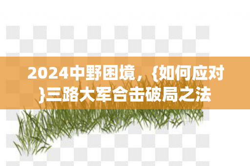 2024中野困境，{如何应对}三路大军合击破局之法