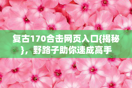复古170合击网页入口{揭秘}，野路子助你速成高手