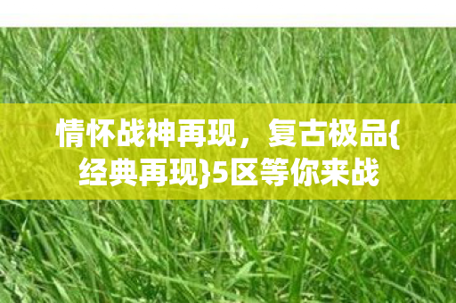 情怀战神再现，复古极品{经典再现}5区等你来战