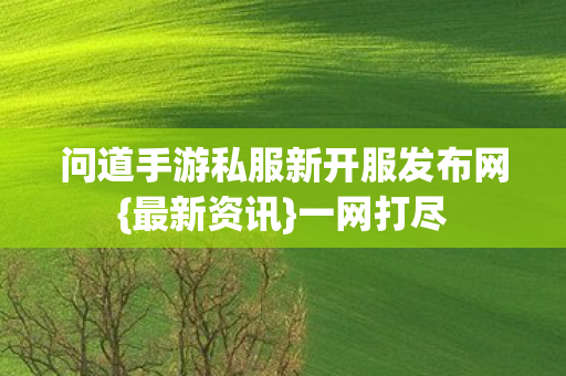问道手游私服新开服发布网{最新资讯}一网打尽
