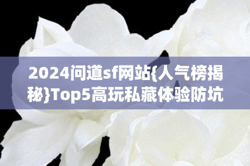 2024问道sf网站{人气榜揭秘}Top5高玩私藏体验防坑指南
