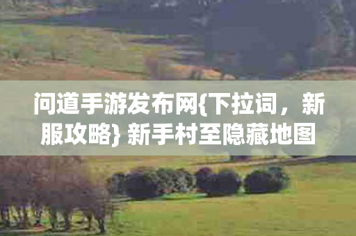 问道手游发布网{下拉词，新服攻略} 新手村至隐藏地图通关必看