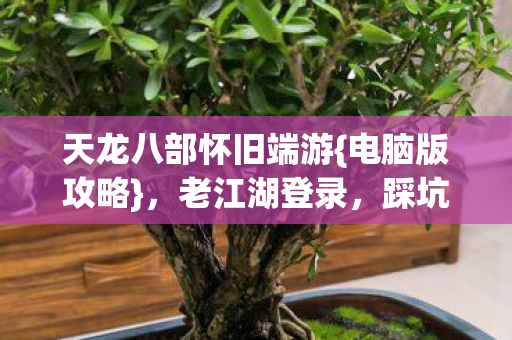 天龙八部怀旧端游{电脑版攻略}，老江湖登录，踩坑经历分享