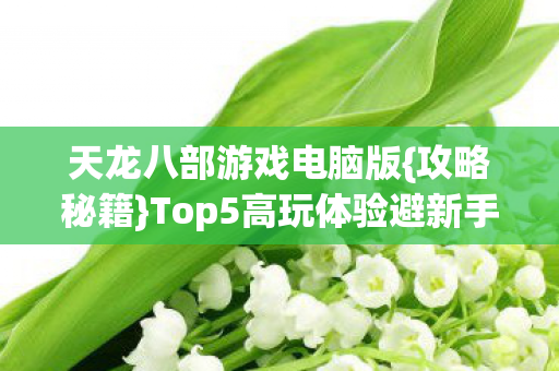 Top5高玩体验避新手雷区图片