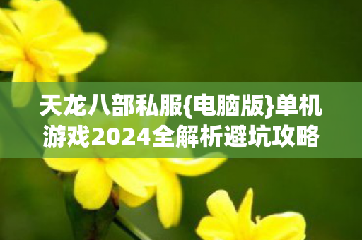 天龙八部私服{电脑版}单机游戏2024全解析避坑攻略 天龙八部私服{电脑版}单机游戏2024全解析避坑攻略