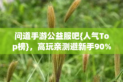 高玩亲测避新手90图片