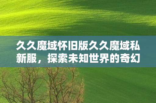 久久魔域怀旧版久久魔域私新服图片