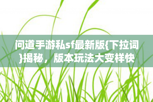 问道手游私sf最新版图片