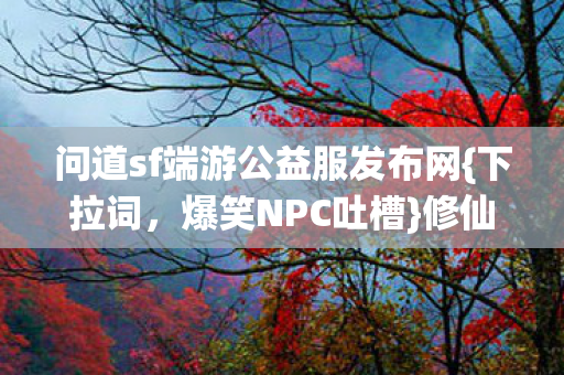 问道sf端游公益服发布网{下拉词，爆笑NPC吐槽}修仙日常乐翻天