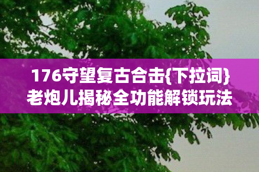 176守望复古合击{下拉词}老炮儿揭秘全功能解锁玩法