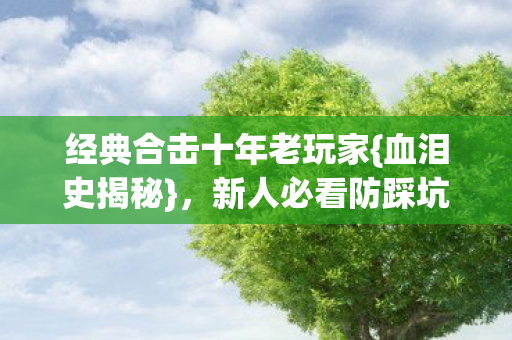 经典合击十年老玩家{血泪史揭秘}，新人必看防踩坑指南