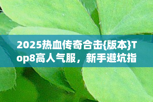 2025热血传奇合击{版本}Top8高人气服,新手避坑指南 2025热血传奇合击{版本}Top8高人气服,新手避坑指南
