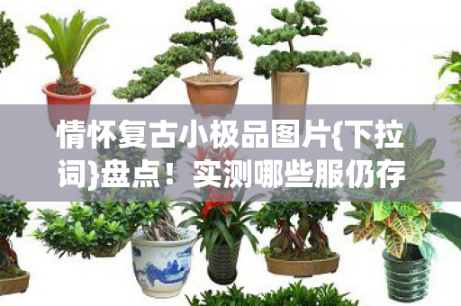 情怀复古小极品图片{下拉词}盘点！实测哪些服仍存青春记忆