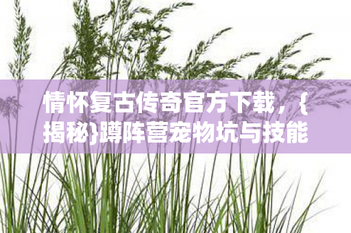 情怀复古传奇官方下载,{揭秘}蹲阵营宠物坑与技能炸裂 情怀复古传奇官方下载,{揭秘}蹲阵营宠物坑与技能炸裂