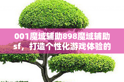 001魔域辅助898魔域辅助sf利器图片