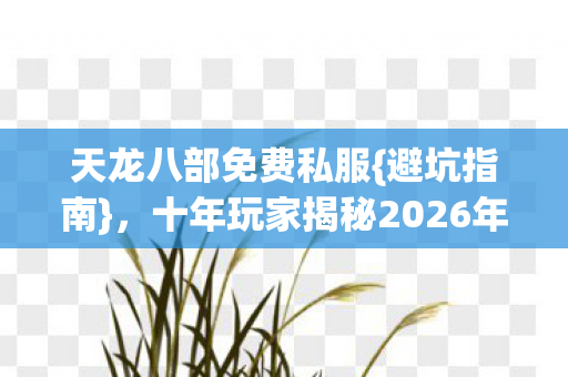 天龙八部免费私服{避坑指南},十年玩家揭秘2026年必躲陷阱 天龙八部免费私服{避坑指南},十年玩家揭秘2026年必躲陷阱