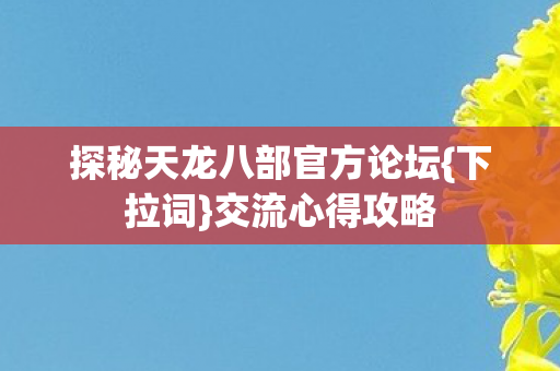 探秘天龙八部官方论坛图片