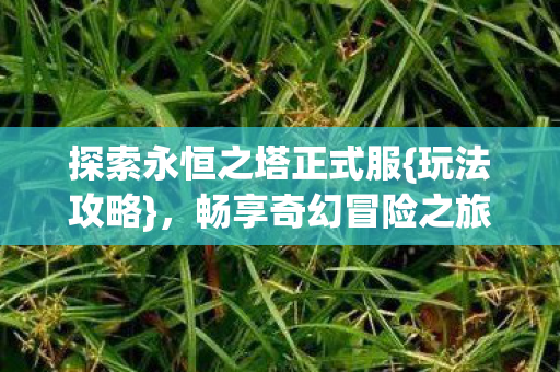 探索永恒之塔正式服图片