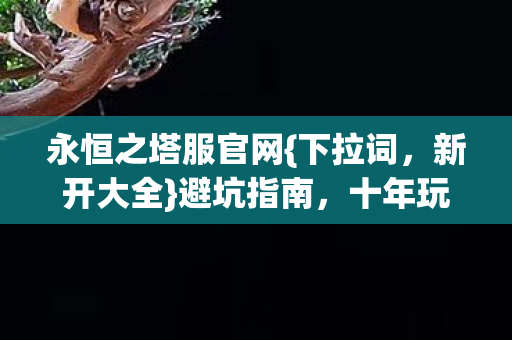 十年玩家总结省半年试错图片