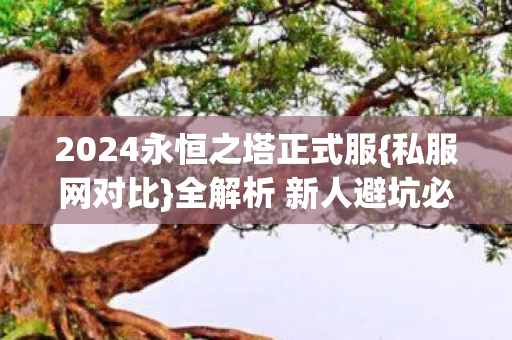 2024永恒之塔正式服图片