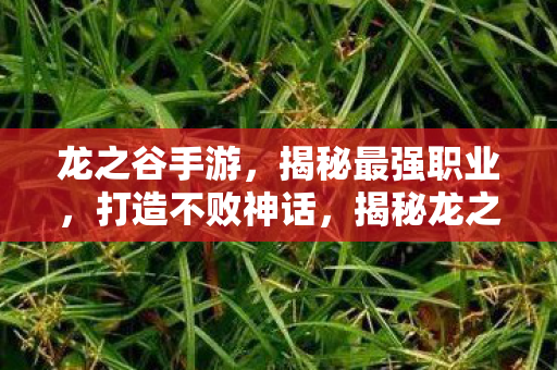 龙之谷手游，揭秘最强职业，打造不败神话，揭秘龙之谷手游最强职业，打造不败神话！