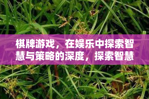 棋牌游戏，在娱乐中探索智慧与策略的深度，探索智慧与策略的深度，棋牌游戏娱乐体验