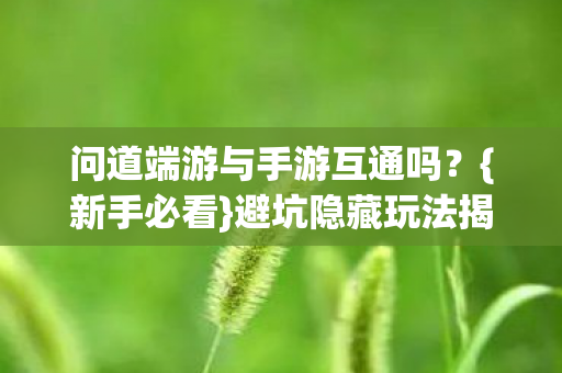 问道端游与手游互通吗？{新手必看}避坑隐藏玩法揭秘