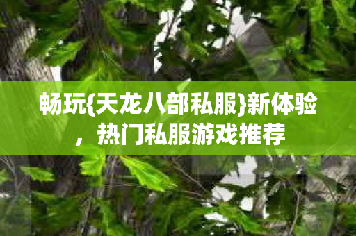 热门私服游戏推荐图片