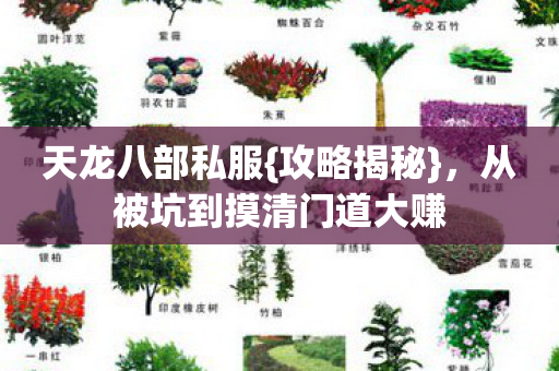 从被坑到摸清门道大赚图片
