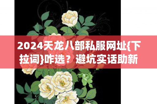 2024天龙八部私服网址图片