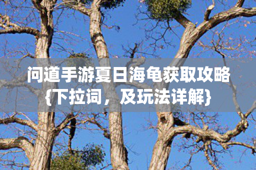 问道手游夏日海龟获取攻略图片