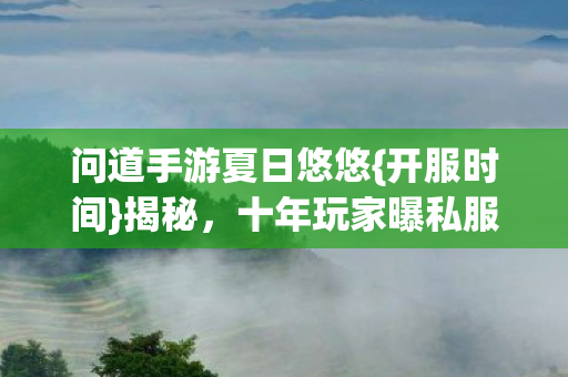 问道手游夏日悠悠{开服时间}揭秘，十年玩家曝私服坑
