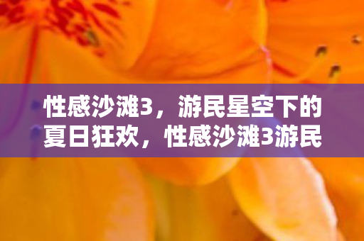 性感沙滩3,游民星空下的夏日狂欢,性感沙滩3游民星空下的夏日狂欢盛宴 性感沙滩3,游民星空下的夏日狂欢,性感沙滩3游民星空下的夏日狂欢盛宴