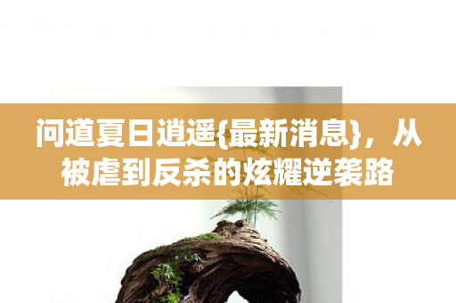 问道夏日逍遥{最新消息},从被虐到反杀的炫耀逆袭路 问道夏日逍遥{最新消息},从被虐到反杀的炫耀逆袭路