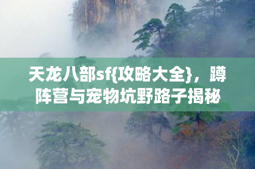 蹲阵营与宠物坑野路子揭秘图片