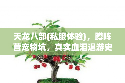 真实血泪退游史图片