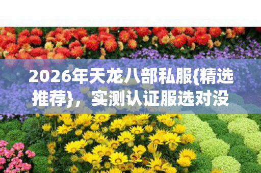 2026年天龙八部私服图片