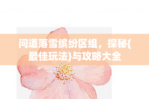 问道落雪缤纷区组图片
