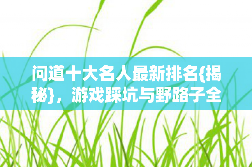 问道十大名人最新排名{揭秘}，游戏踩坑与野路子全分享
