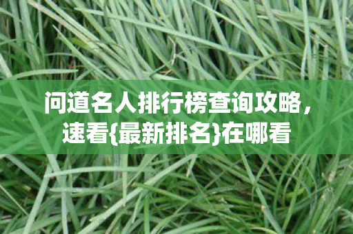 问道名人排行榜查询攻略，速看{最新排名}在哪看