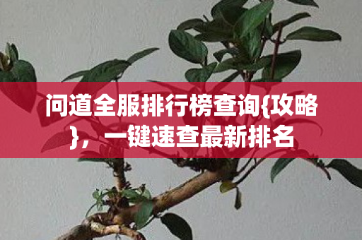 问道全服排行榜查询{攻略}，一键速查最新排名