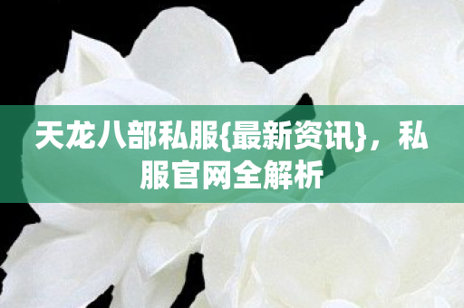 私服官网全解析图片