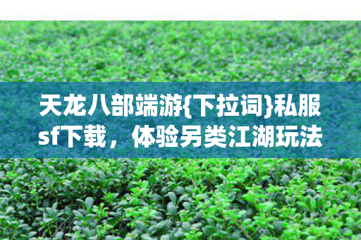 体验另类江湖玩法图片