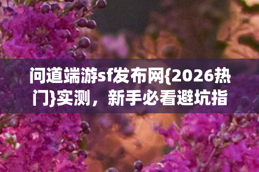 问道端游sf发布网图片