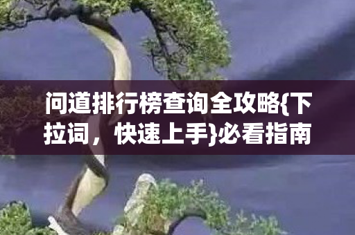 问道排行榜查询全攻略图片