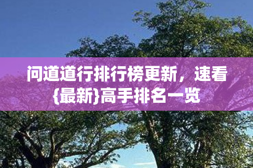 问道道行排行榜更新，速看{最新}高手排名一览