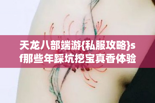 sf那些年踩坑挖宝真香体验图片