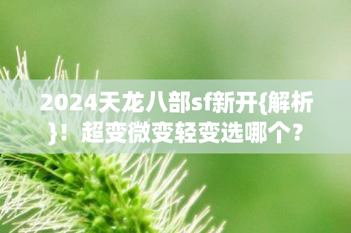 2024天龙八部sf新开图片